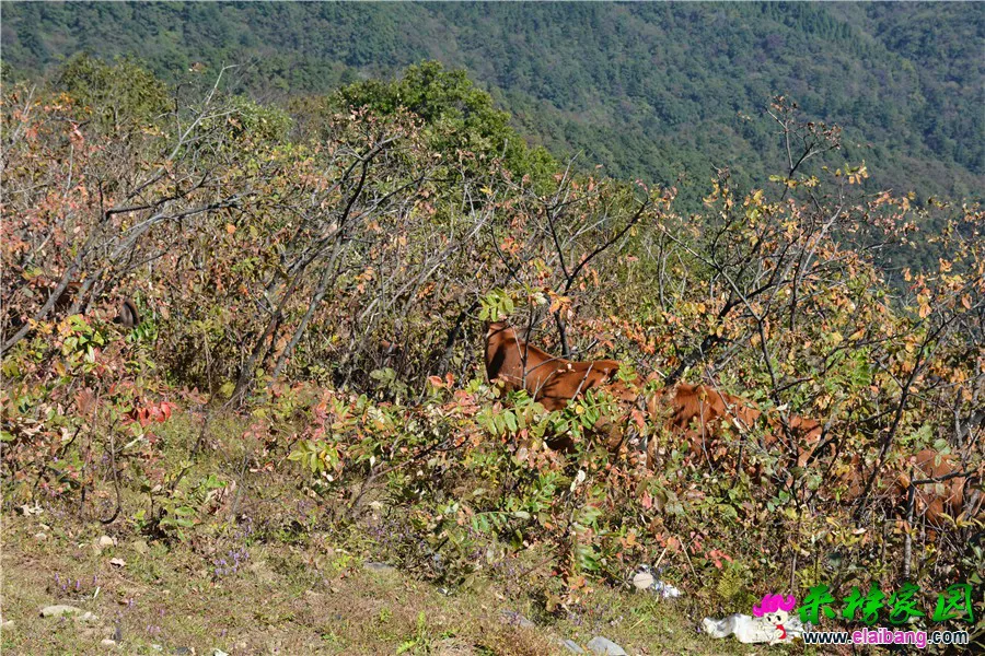 DSC_6690.webp