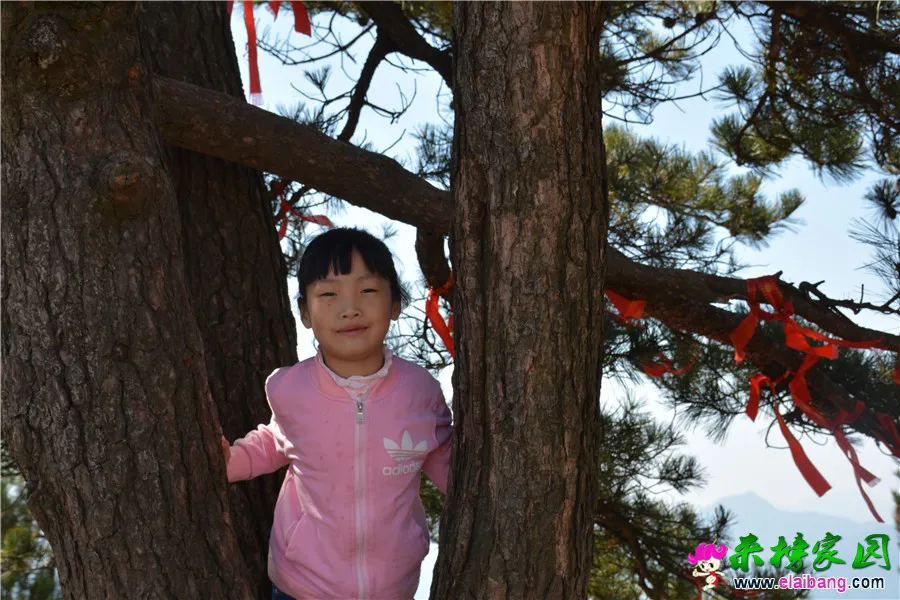 DSC_6699.webp