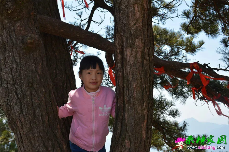 DSC_6700.webp