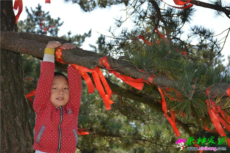 DSC_6705.webp
