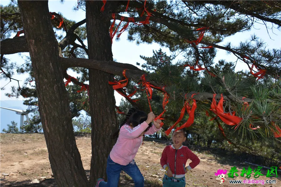 DSC_6719.webp