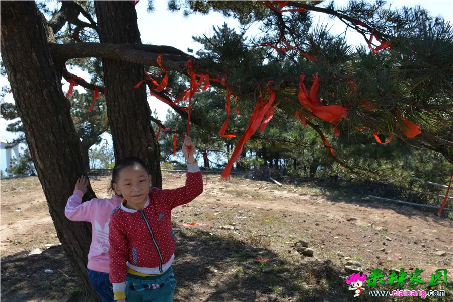 DSC_6720.webp