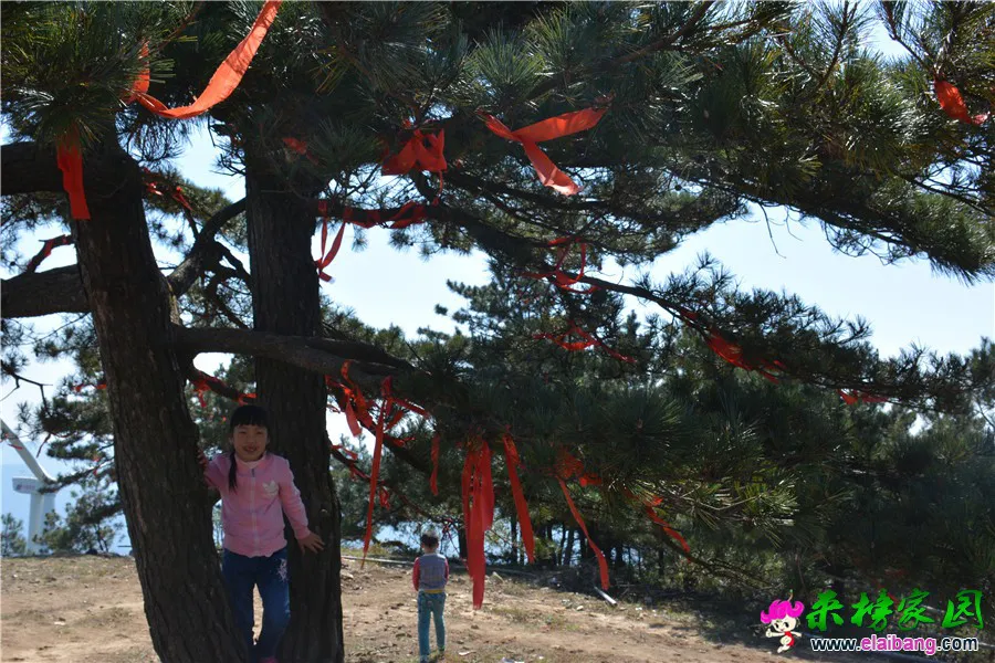 DSC_6723.webp