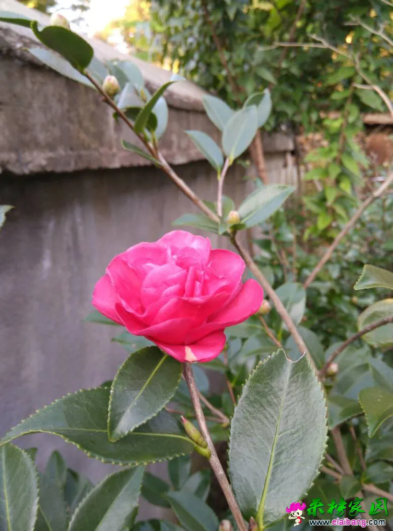 113053w205xxk9x459ir4r.webp