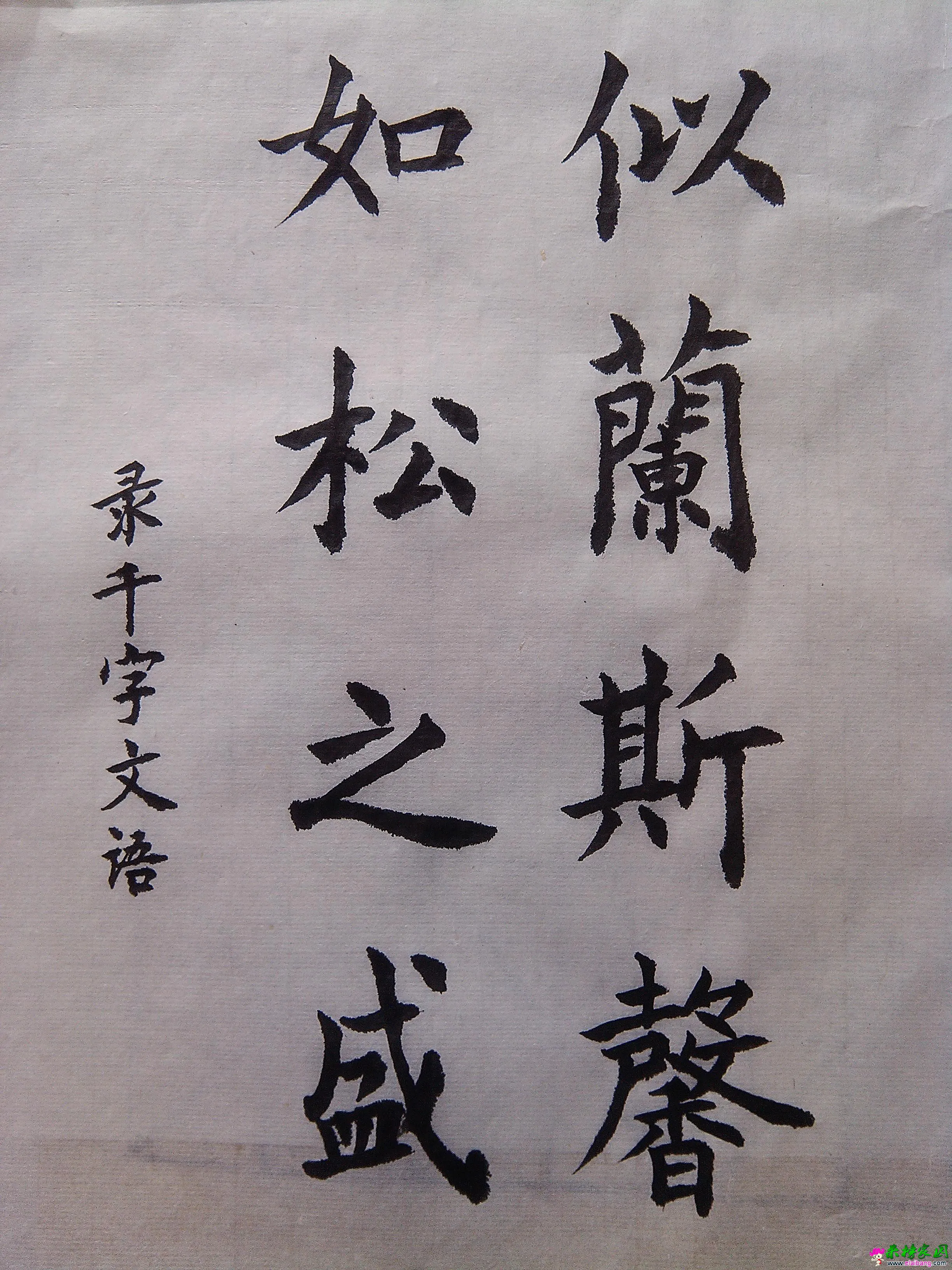 似兰斯馨