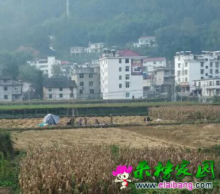 091725zfo14g811licsei7.webp
