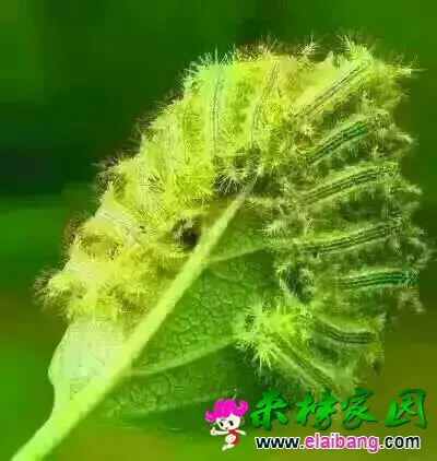 181212aaza14sbkdeemabs.webp