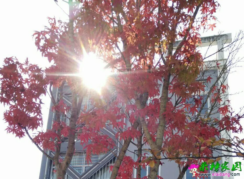 161035pmkof0eq05j0tmgm.webp
