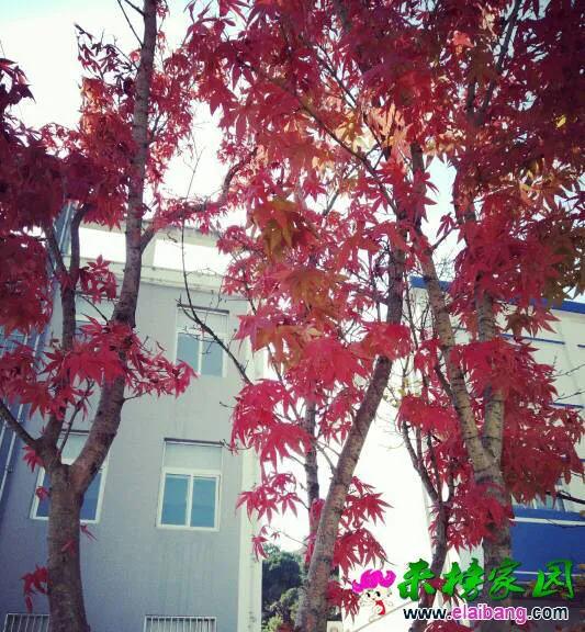 161036z6kqf27t6fqak6b2.webp