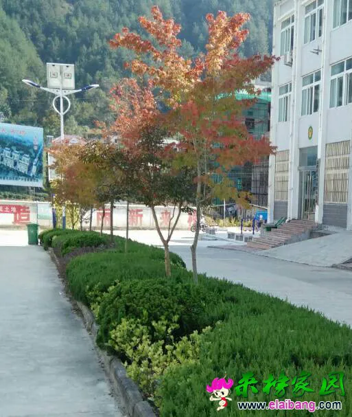161036zch4k44h59ji5jdv.webp