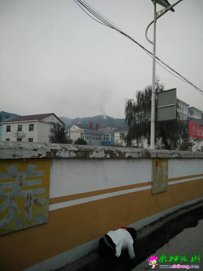 174517v74uzir5er5dfcue.webp