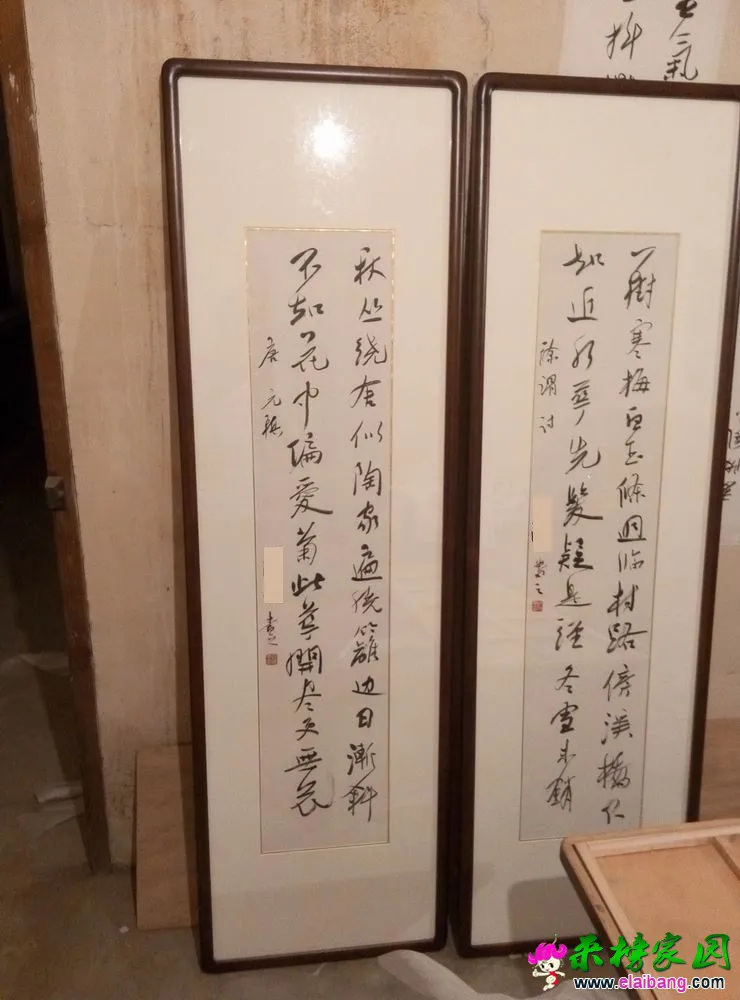 P51012-210617.webp