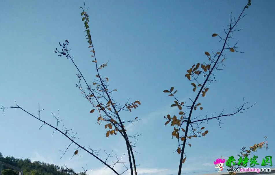 153154b1dyweyxjpzkm1jk.webp