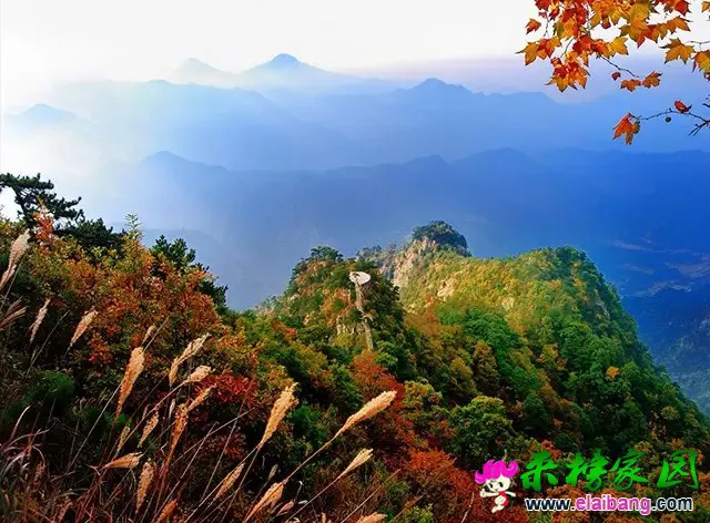 640.webp.webp 640.webp.webp