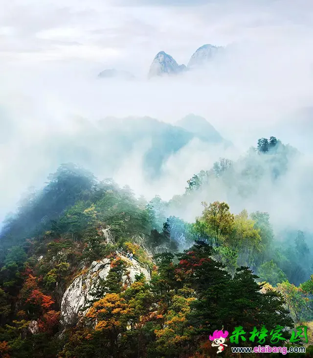 643.webp.webp 643.webp.webp