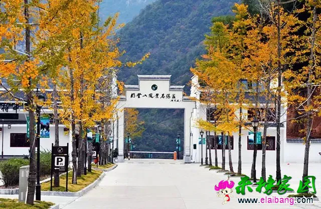 645.webp.webp 645.webp.webp