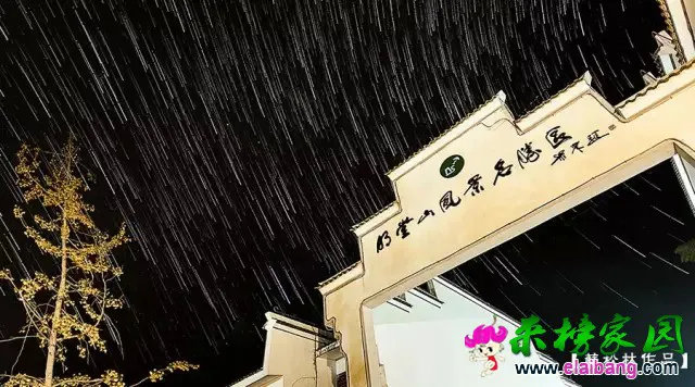 646.webp.webp 646.webp.webp