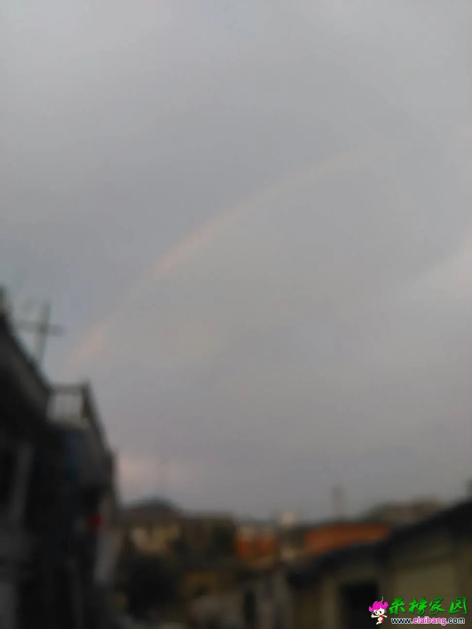 173029r6hzxhz6gx9y0q3x.webp