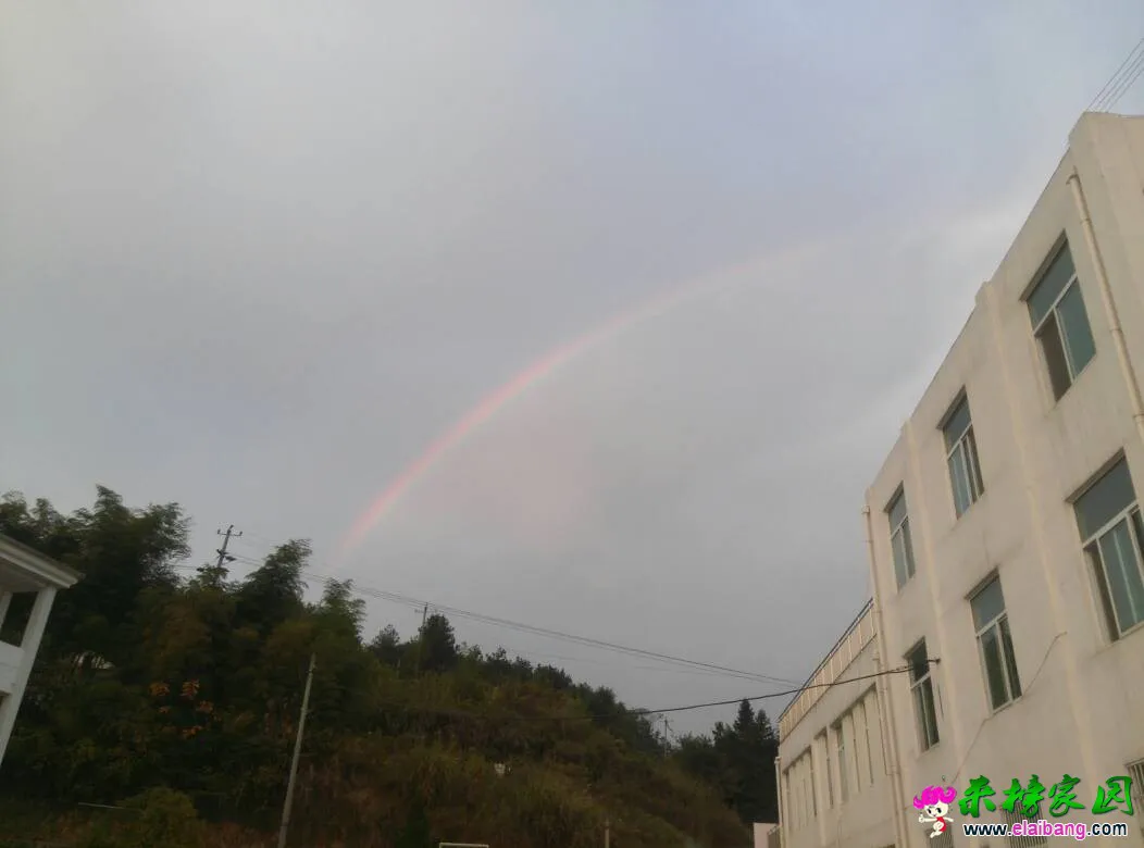 173907ut8t4ngzjceqtc7j.webp