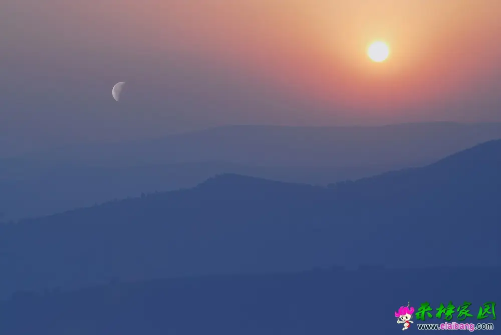 日月同辉.webp