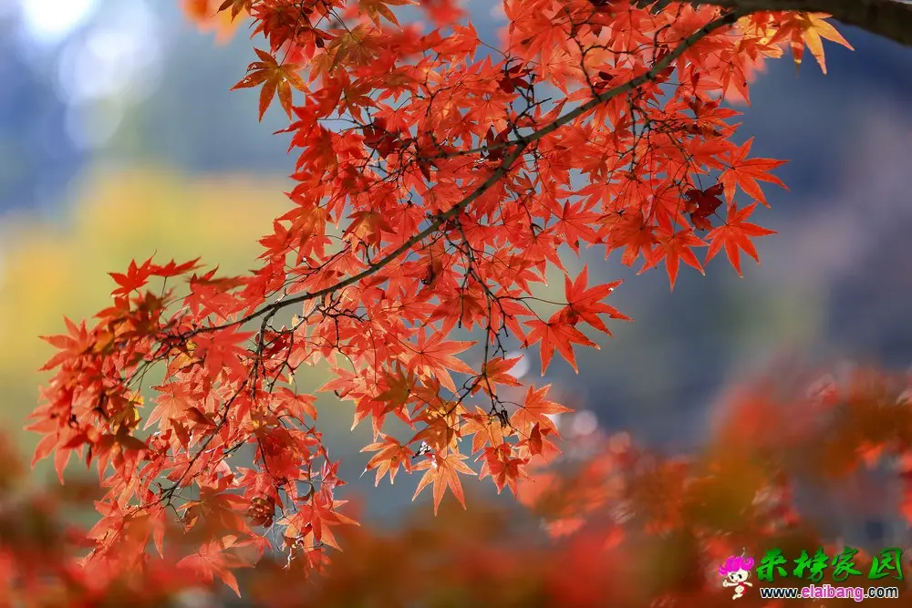 01.webp