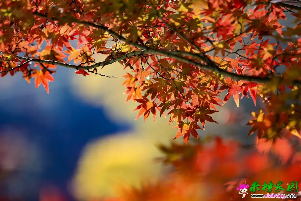 03.webp