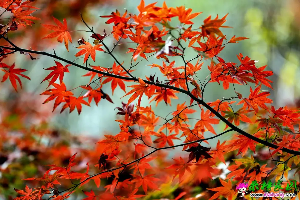 05.webp