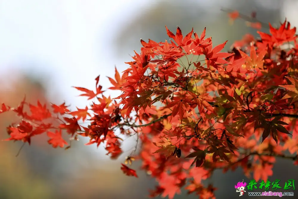 04.webp