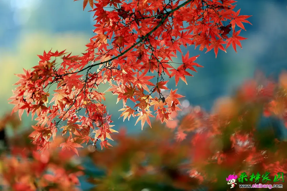07.webp