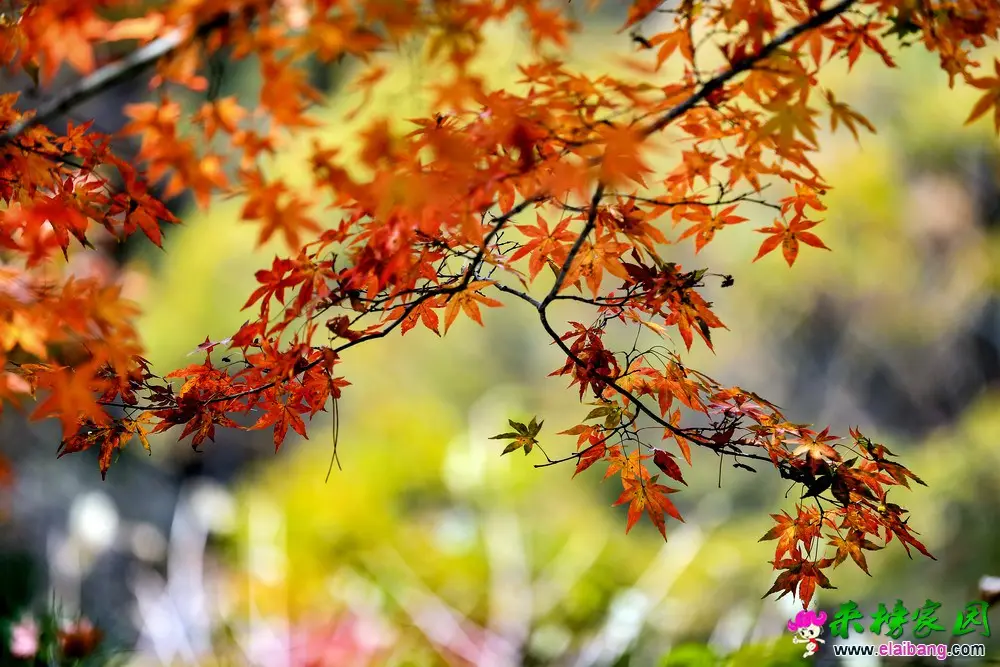 09.webp