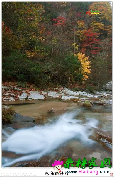 173549nmxvhc602x1mhh12.webp