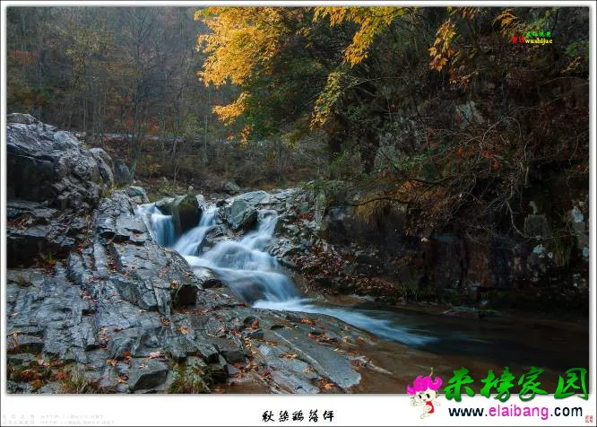 173550p2igdd300w2dittb.webp