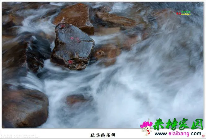 175008h51ffxg51g3s3il3.webp
