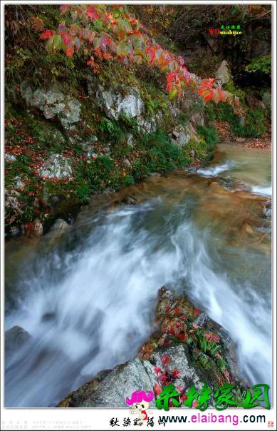 175008sxirqrmrrmlz8q52.webp