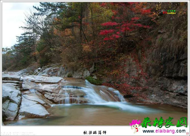 175009ps0wrhgseww287wr.webp