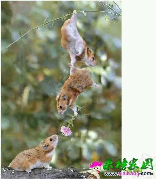 230713ex5uu3hgnu5h3h3n.webp