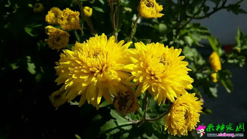 140743xrxr80777nd0xuj1.webp