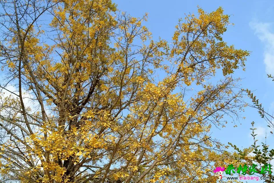 psb (46).webp