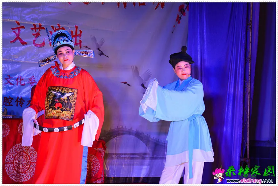 DSC_7146(1).webp