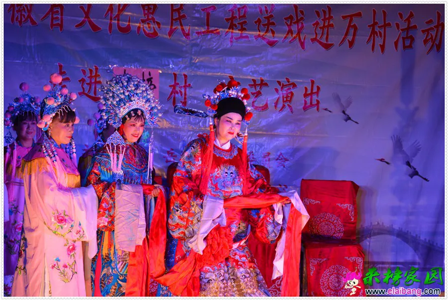 DSC_7173(1).webp