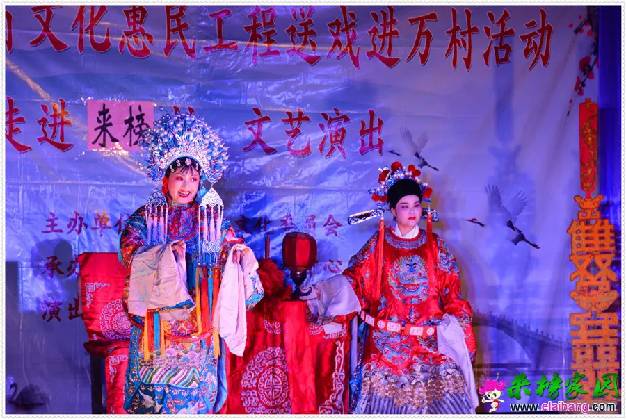 DSC_7190(1).webp