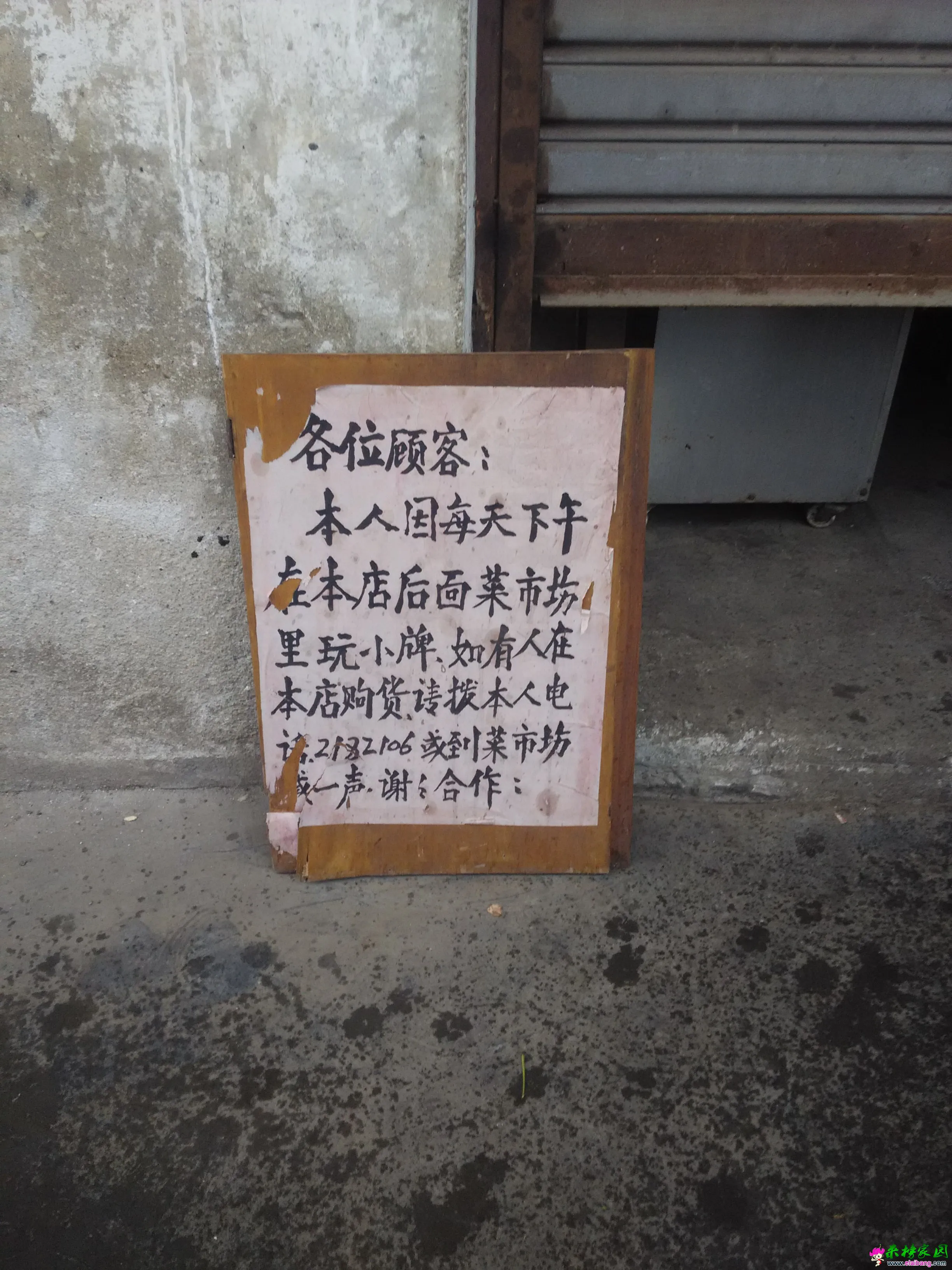 IMG_20151029_162035.webp