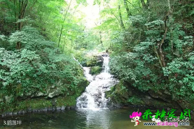 640.webp (2).webp