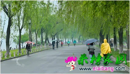t01983292b1cc709838.webp