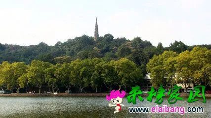 t01a7cdaf637483edff.webp