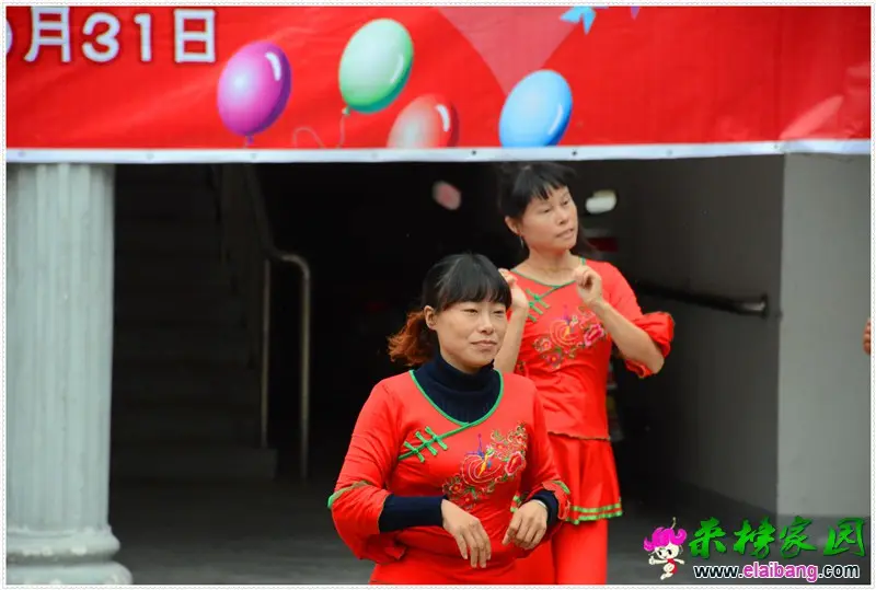 DSC_7596.webp