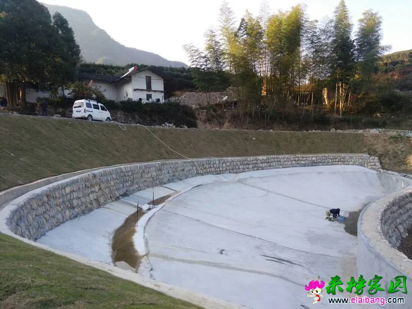 162755cz2f89jqdlj9aa62.webp