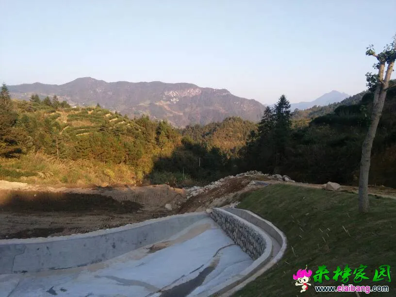 162756vvnaqv6ntny6jzn4.webp