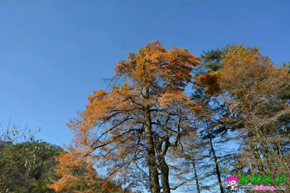 224845ylzrv08xfxf8bz8l.webp