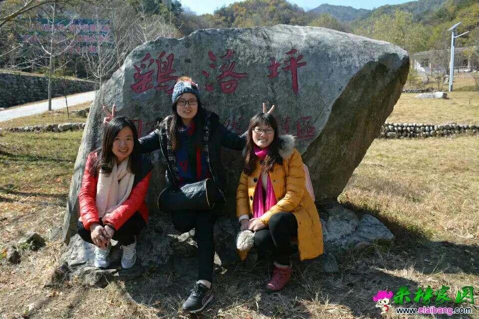 224846nuiswvl4iu6viawl.webp